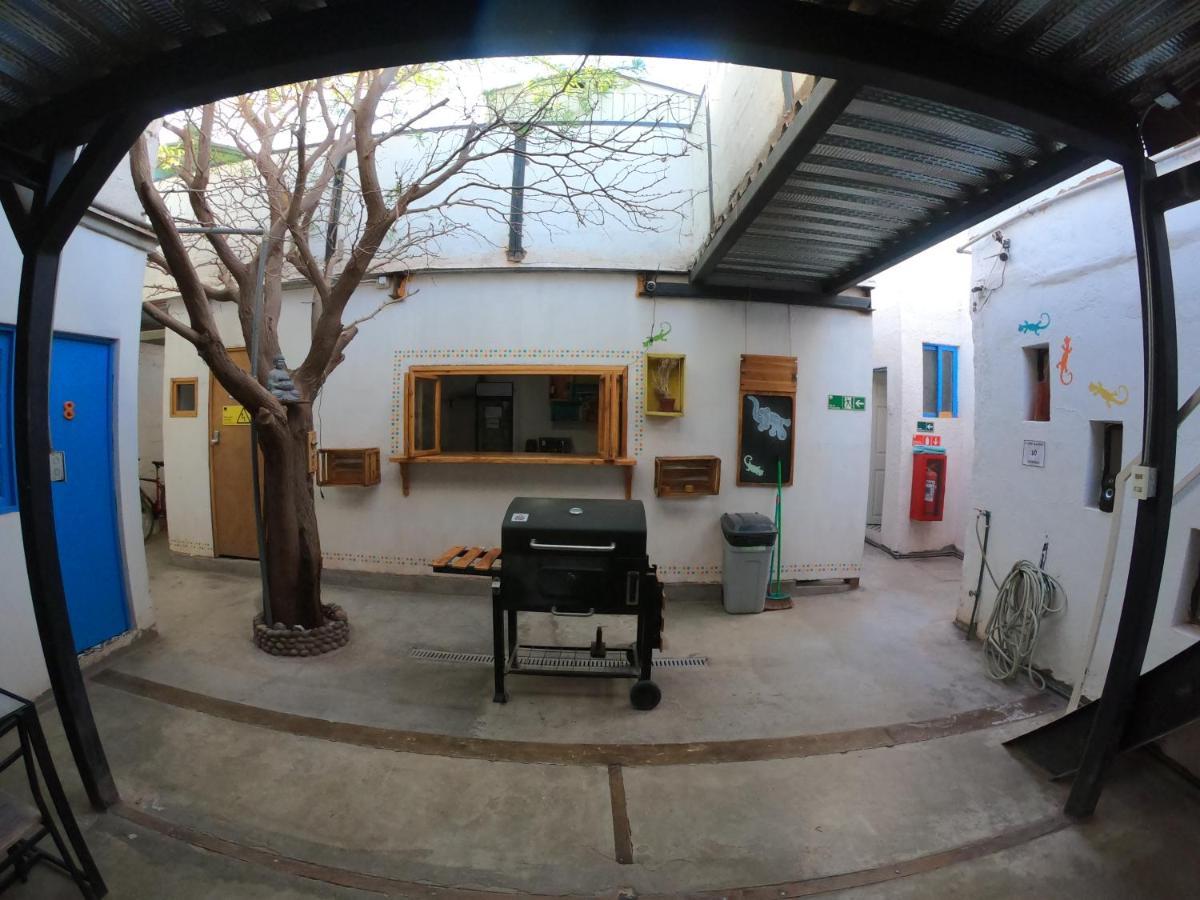 Rey Lagarto Hostel San Pedro de Atacama Exterior foto